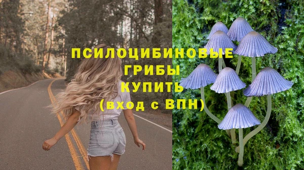 спайс Медногорск