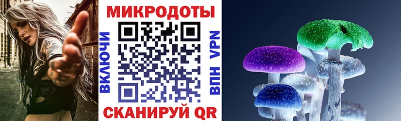 Псилоцибиновые грибы MAGIC MUSHROOMS Купить где Боровичи
