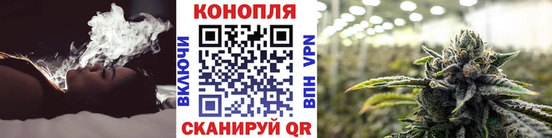 Марихуана планчик  Купить где  Боровичи 